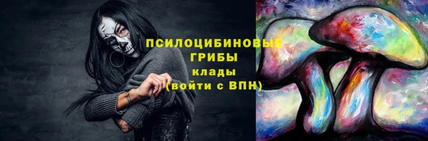 экстази Белокуриха